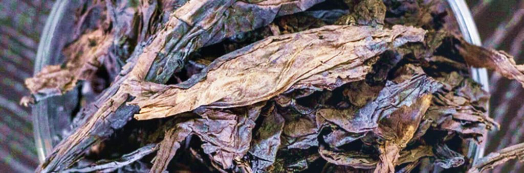Погрузитесь в захватывающее зрелище темных обожженных табачных листьев латакии